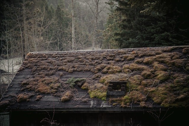 a lot of moss on the roof