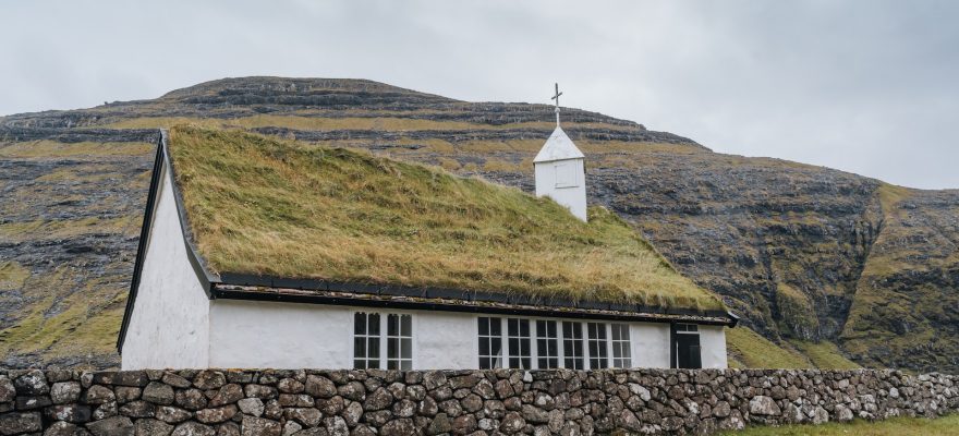 grass on the roof