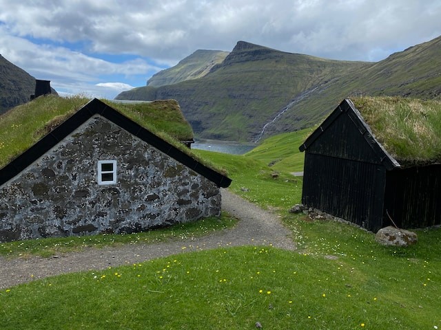 two houses with grass on roof