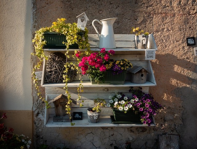 shelf with flower pots