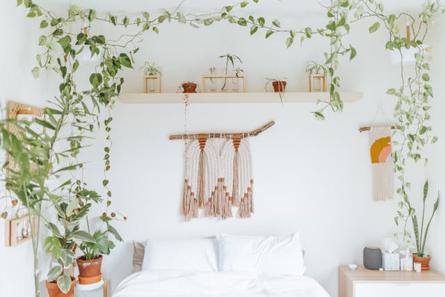 indoor-plants-in-a-bedroom