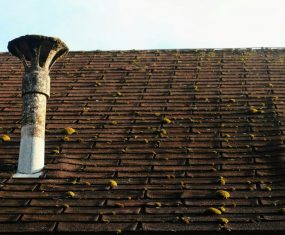 Why You Should Get Your Roof Cleaned in the South of the UK