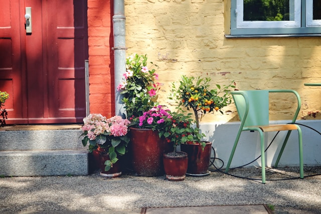 a-couple-of-chairs-sitting-outside-of-a-house