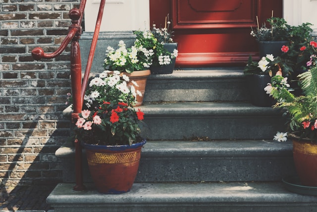 flowers-in-bloom